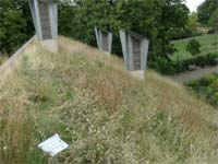 The north-facing section of the roof on the CUE Building, Horniman Museum